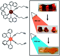 Graphical abstract: Designing photolabile ruthenium polypyridyl crosslinkers for hydrogel formation and multiplexed, visible-light degradation