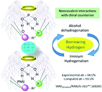 Graphical abstract: Origin of stereoselectivity in the amination of alcohols using cooperative asymmetric dual catalysis involving chiral counter-ions