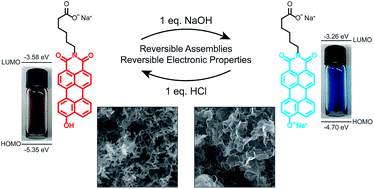 Graphical abstract: Impact of charge switching stimuli on supramolecular perylene monoimide assemblies