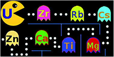 Graphical abstract: Differential uranyl(v) oxo-group bonding between the uranium and metal cations from groups 1, 2, 4, and 12; a high energy resolution X-ray absorption, computational, and synthetic study