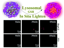 Graphical abstract: A copper-mediated on–off–on gold nanocluster for endogenous GSH sensing to drive cancer cell recognition