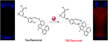 Graphical abstract: A turn-on near-infrared fluorescent probe with rapid response and large Stokes shift for the selective and sensitive detection of zinc(ii) and its application in living cells