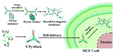 Graphical abstract: A self-delivery DNA nanoprobe for reliable microRNA imaging in live cells by aggregation induced red-shift-emission