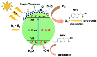 Graphical abstract: Photocatalytic degradation of naproxen by a H2O2-modified titanate nanomaterial under visible light irradiation