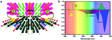 Graphical abstract: Hybrid PDI/BiOCl heterojunction with enhanced interfacial charge transfer for a full-spectrum photocatalytic degradation of pollutants