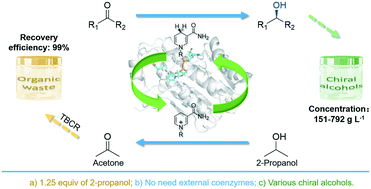 Graphical abstract: Efficient asymmetric synthesis of chiral alcohols using high 2-propanol tolerance alcohol dehydrogenase SmADH2 via an environmentally friendly TBCR system