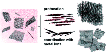 Graphical abstract: Effects of pH and electrolytes on the sheet-to-sheet aggregation mode of graphene oxide in aqueous solutions