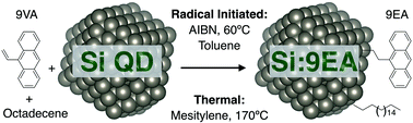 Graphical abstract: Low temperature radical initiated hydrosilylation of silicon quantum dots