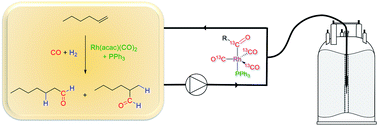 Graphical abstract: Multi-nuclear, high-pressure, operando FlowNMR spectroscopic study of Rh/PPh3 – catalysed hydroformylation of 1-hexene