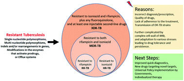 Graphical abstract: Drug-resistance in Mycobacterium tuberculosis: where we stand