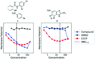 Graphical abstract: Anthranilic amide and imidazobenzothiadiazole compounds disrupt Mycobacterium tuberculosis membrane potential