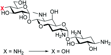 Graphical abstract: Synthesis of saccharocin from apramycin and evaluation of its ribosomal selectivity