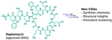 Graphical abstract: The calcium-dependent lipopeptide antibiotics: structure, mechanism, & medicinal chemistry