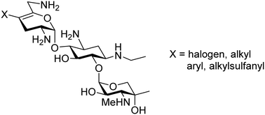 Graphical abstract: Synthesis, ribosomal selectivity, and antibacterial activity of netilmicin 4′-derivatives