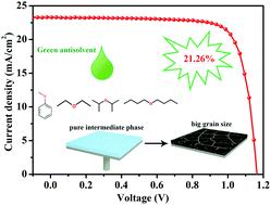 Graphical abstract: The mechanism of universal green antisolvents for intermediate phase controlled high-efficiency formamidinium-based perovskite solar cells