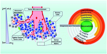 Graphical abstract: Nanomaterials for the regulation of the tumor microenvironment and theranostics