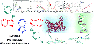 Graphical abstract: Synthesis, photophysics and biomolecule interactive studies of new hybrid benzo-2,1,3-thiadiazoles