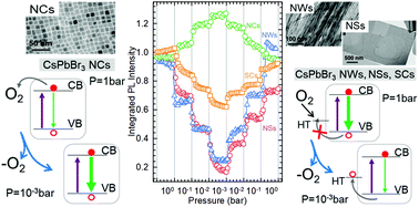 Graphical abstract: O2 as a molecular probe for nonradiative surface defects in CsPbBr3 perovskite nanostructures and single crystals