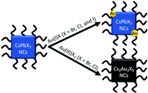 Graphical abstract: The role of gold oxidation state in the synthesis of Au-CsPbX3 heterostructure or lead-free Cs2AuIAuIIIX6 perovskite nanoparticles