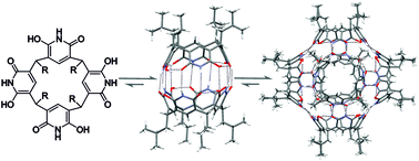 Graphical abstract: Thermodynamically driven self-assembly of pyridinearene to hexameric capsules