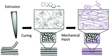Graphical abstract: Mechanochromic composite elastomers for additive manufacturing and low strain mechanophore activation