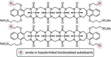 Graphical abstract: Functionalisable acyclic cucurbiturils