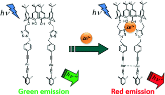 Graphical abstract: Calixarene-based alkynyl-bridged gold(i) isocyanide and phosphine complexes as building motifs for the construction of chemosensors and supramolecular architectures