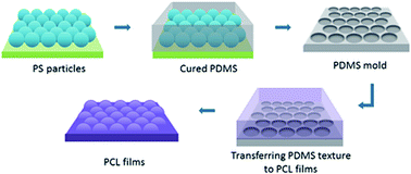 Graphical abstract: The interactions of human ovarian cancer cells and nanotextured surfaces: cell attachment, viability and apoptosis studies