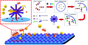 Graphical abstract: Hierarchical urchin-like CoSe2/CoSeO3 electro-catalysts for dye-sensitized solar cells: up to 19% PCE under dim light illumination