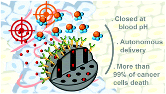 Graphical abstract: Sequential delivery of synergistic drugs by silica nanocarriers for enhanced tumour treatment