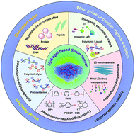 Graphical abstract: From design to applications of stimuli-responsive hydrogel strain sensors