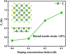 Graphical abstract: Prediction of strain-induced phonon-mediated superconductivity in monolayer YS