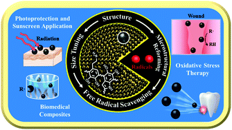 Graphical abstract: Polydopamine free radical scavengers