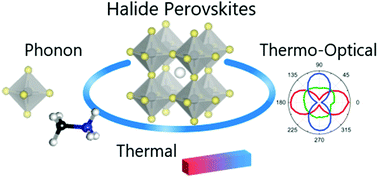 Graphical abstract: Phonon, thermal, and thermo-optical properties of halide perovskites