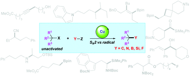 Graphical abstract: C–C and C–X coupling reactions of unactivated alkyl electrophiles using copper catalysis