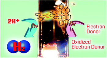 Graphical abstract: Photocatalytic hydrogen evolution using a Ru(ii)-bound heteroaromatic ligand as a reactive site