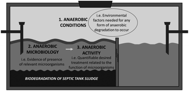 Graphical abstract: Biodegradation mechanisms and functional microbiology in conventional septic tanks: a systematic review and meta-analysis