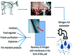 Graphical abstract: Recovery of viable ammonia–nitrogen products from agricultural slaughterhouse wastewater by membrane contactors: a review