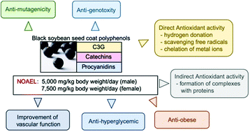 Graphical abstract: Insights into the potential benefits of black soybean (Glycine max L.) polyphenols in lifestyle diseases