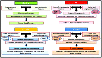 Graphical abstract: Prenatal vitamin D supplementation reduces blood pressure and improves placental angiogenesis in an animal model of preeclampsia