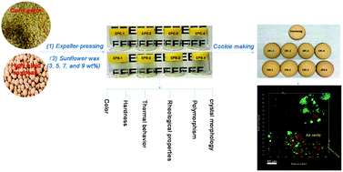 Graphical abstract: Unlocking the potential of minimally processed corn germ oil and high oleic soybean oil to prepare oleogels for bakery application