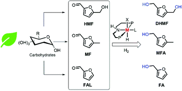 Graphical abstract: Efficient and selective catalytic hydrogenation of furanic aldehydes using well defined Ru and Ir pincer complexes