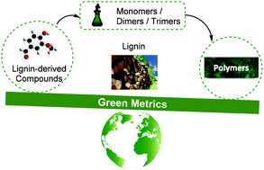 Graphical abstract: Are lignin-derived monomers and polymers truly sustainable? An in-depth green metrics calculations approach