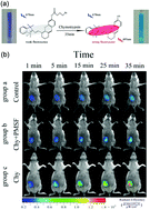 Graphical abstract: Perspective on chymotrypsin detection