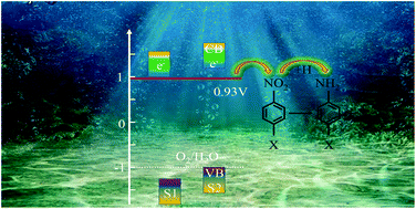 Graphical abstract: A minireview on doped carbon dots for photocatalytic and electrocatalytic applications