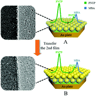 Graphical abstract: The moveable “hot spots” effect in an Au nanoparticles–Au plate coupled system