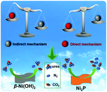 Graphical abstract: Ni2P nanoflakes for the high-performing urea oxidation reaction: linking active sites to a UOR mechanism