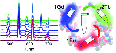 Graphical abstract: Lanthanide contraction effect and white-emitting luminescence in a series of metal–organic frameworks based on 2,5-pyrazinedicarboxylic acid