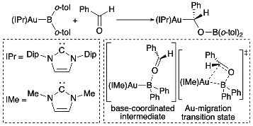 Graphical abstract: Nucleophilic reactivity of the gold atom in a diarylborylgold(i) complex toward polar multiple bonds