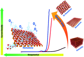 Graphical abstract: Revealing the defect-dominated oxygen evolution activity of hematene